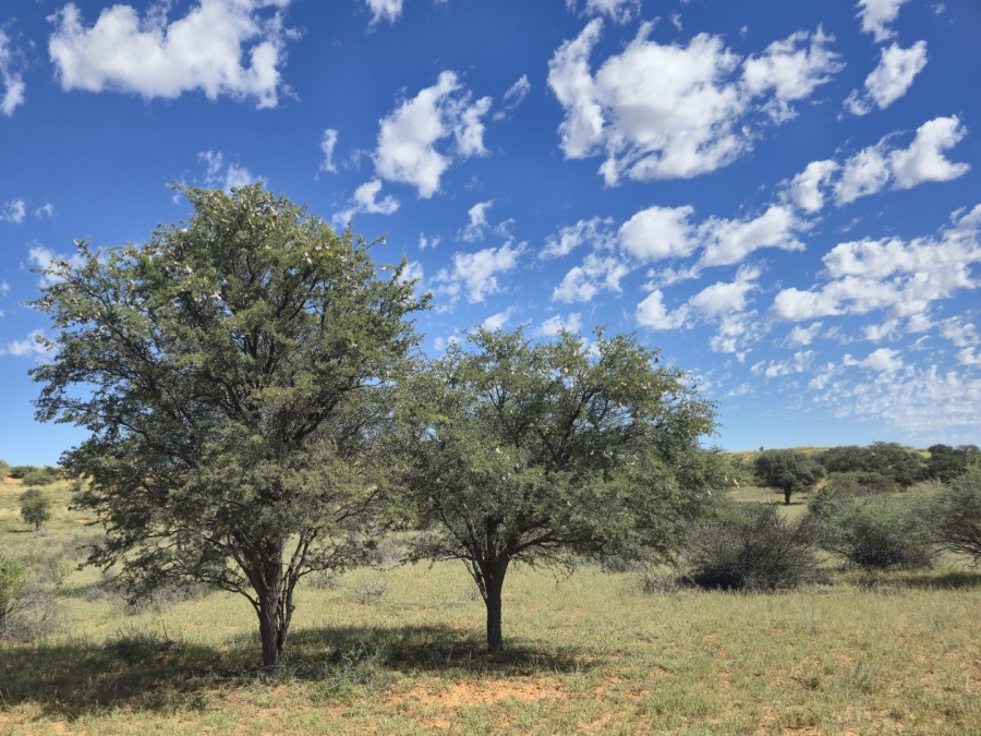 Commercial Property for Sale in Upington Rural Northern Cape